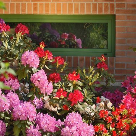 Villa Delle Ortensie Tavagnacco Ngoại thất bức ảnh