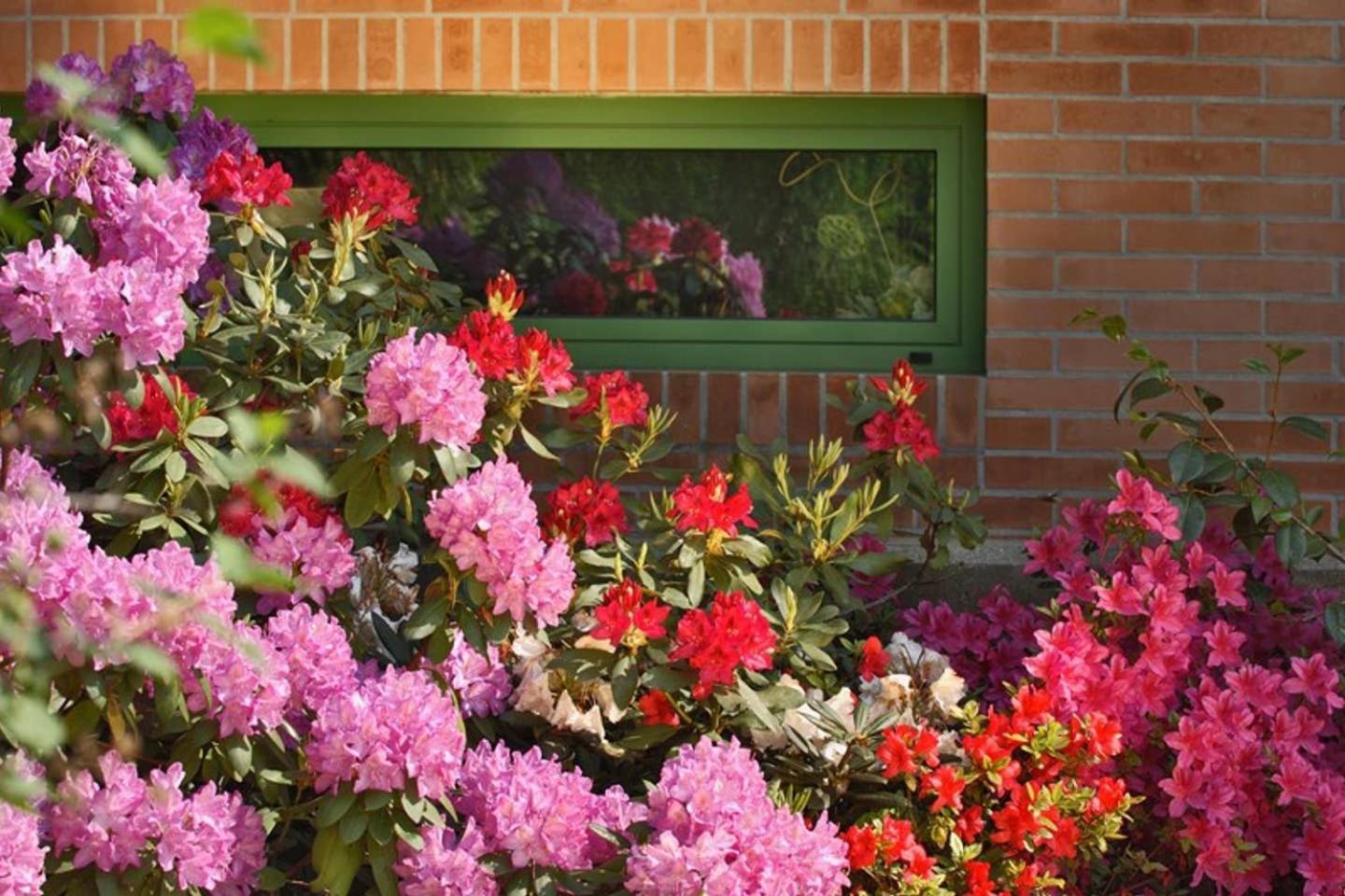 Villa Delle Ortensie Tavagnacco Ngoại thất bức ảnh
